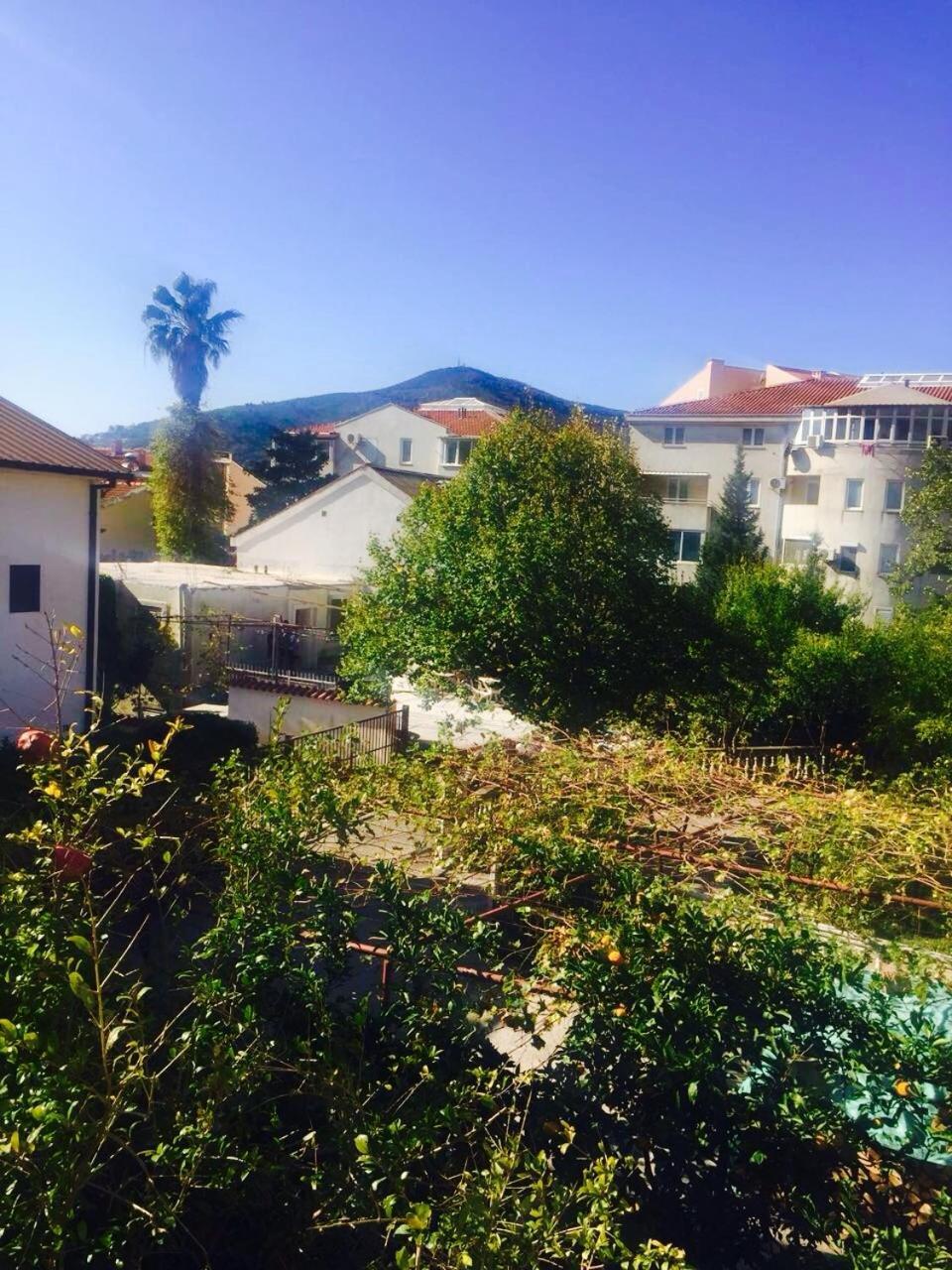 Vanja Lazovic Guest house